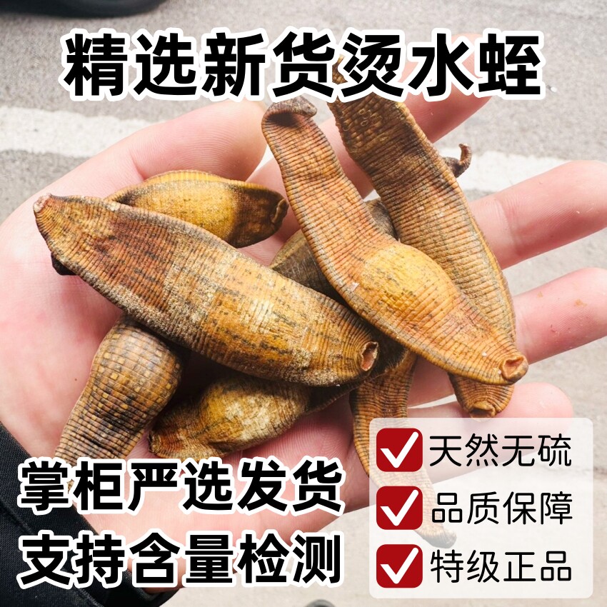 精选烫水蛭中药材炙水蛭100g包邮制水蛭炙金边水蛭熟水蛭严选正品
