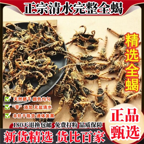 全蝎无盐清水蝎子 新货蝎子中药材 十成全干货全虫蝎子100g克包邮