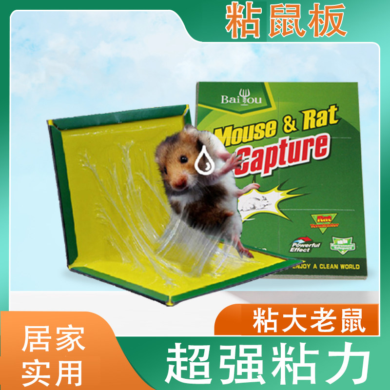 끈적끈적한 마우스 보드 큰 쥐를 위한 강력 접착제 왕 중의 왕 초대형 설치류 포획 개척자 접착제를 묻힌 땅다람쥐 함정 유물