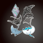 水肺潜水蝠鲼Manta Ray鳐鱼潜水汽车贴纸防海水支持定制贴纸6604