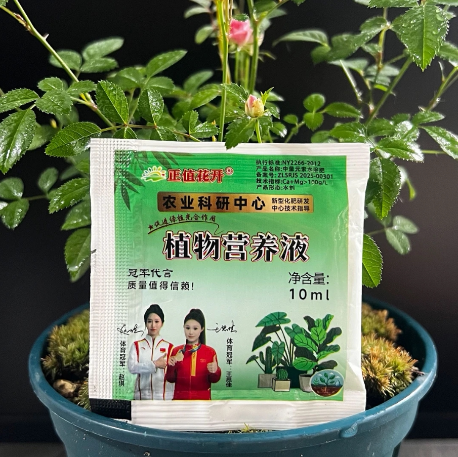 50包营养液花肥料盆栽植物通用型水培发财树绿萝富贵竹花卉水溶性