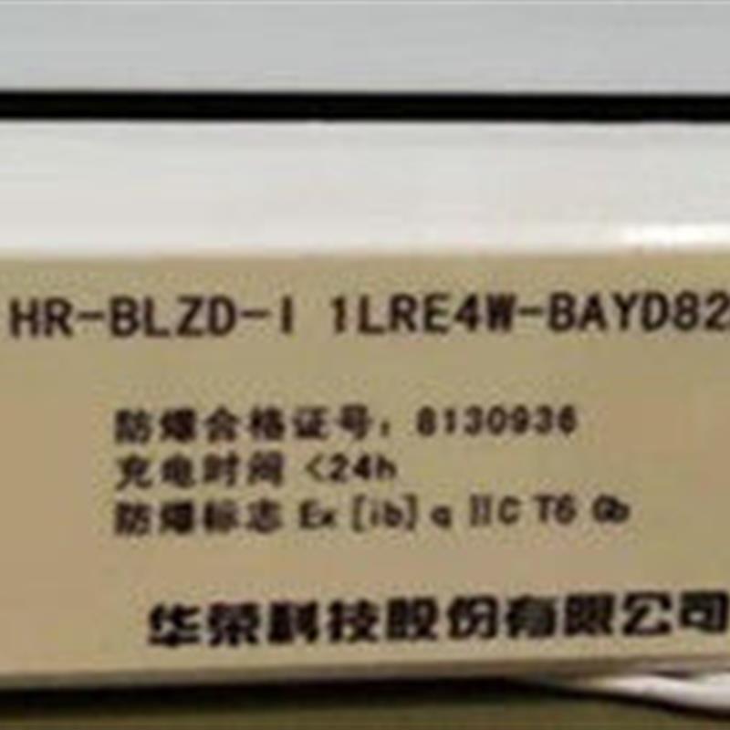 华荣 沈海防爆安全出口防爆应急控制器HR-BLZD-1LRE SH-BLZ-1LROE