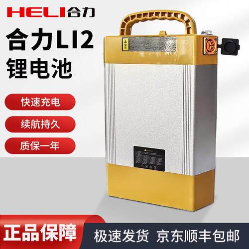 CBD20J-LI2电动搬运车锂电池充电器48V5A合力DC20电瓶48V15AH