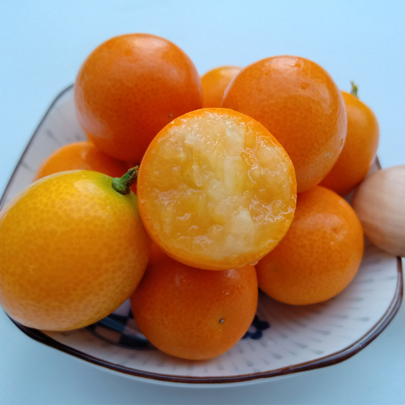 【咳嗽多痰吃麻皮金桔】5斤新鲜现摘黄皮油皮金钱橘膏酱不是脆皮