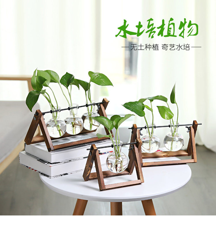 水培花瓶创意木架绿萝袖珍椰子罗汉松办公桌面时尚摆件桌面小花架,鲜花速递/花卉仿真/绿植园艺,花瓶,淘宝优惠券,粉丝福利购,淘宝优惠卷