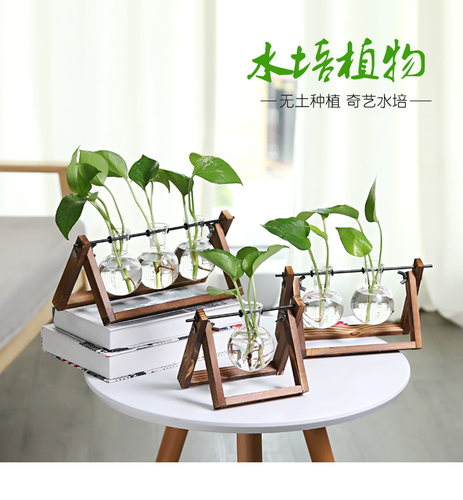 水培花瓶创意木架绿萝椰子小花架