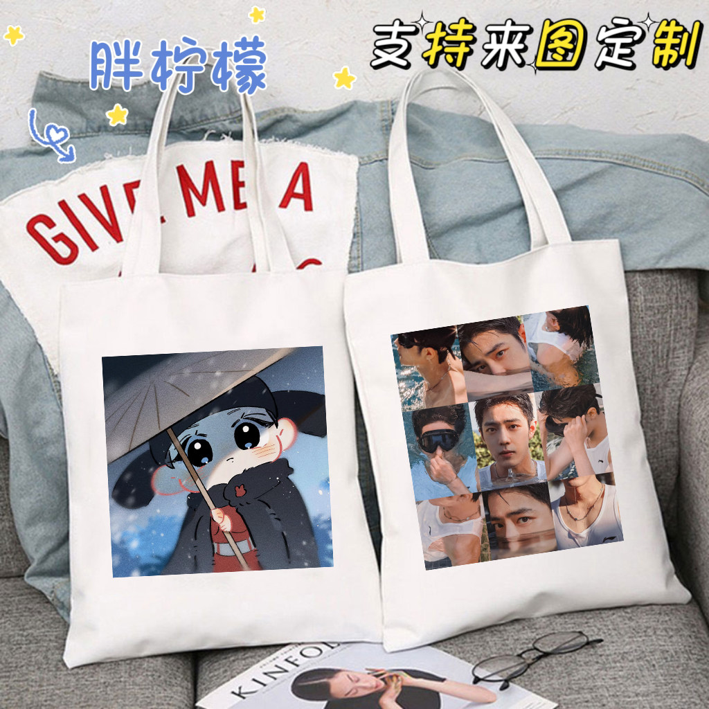 藏海传肖战同款帆布包高颜值ins