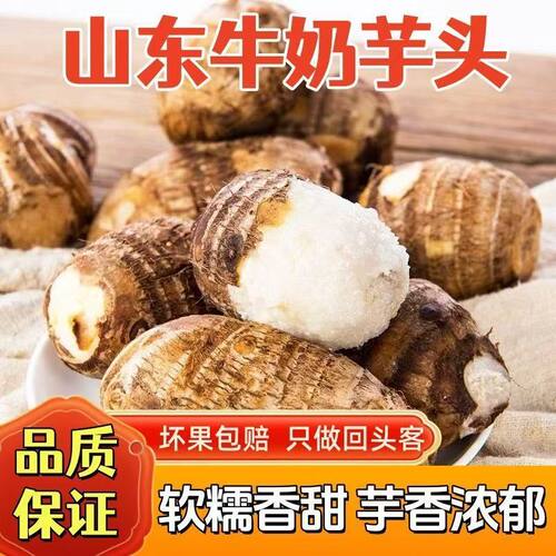 山东牛奶小芋头现挖奶香软糯