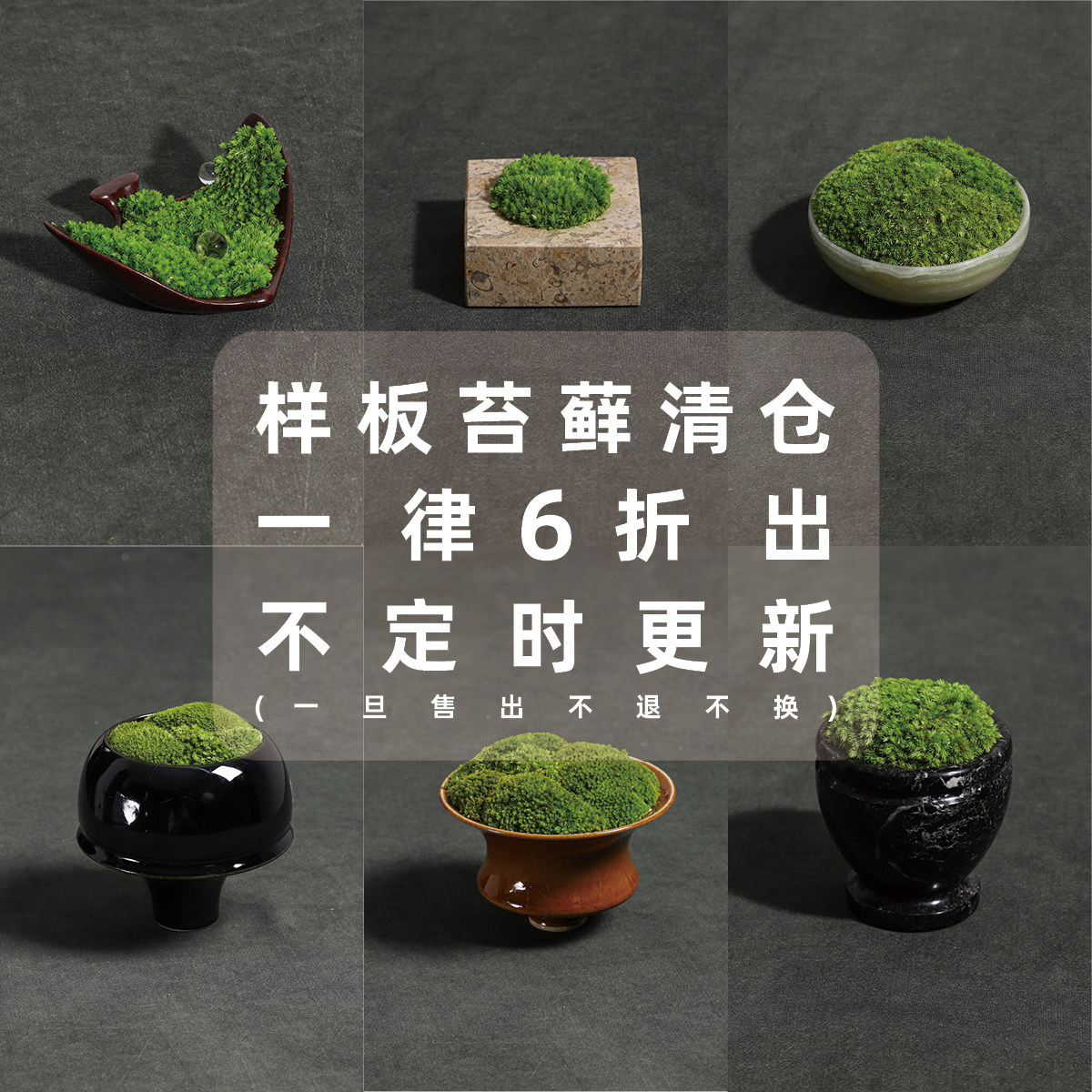 妖及三 | 软装定制苔藓样品流转清库存 | 装置微景观永生苔藓