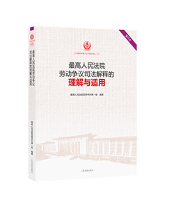 人民法院劳动争议司法解释的理解与适用（12）人民法院出版社 正版图书
