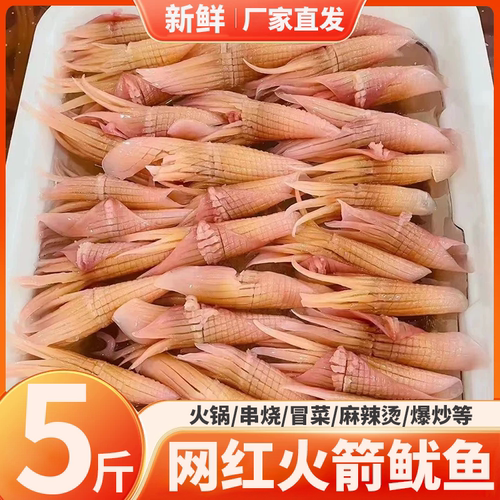 火箭鱿鱼新鲜鱿鱼花商用火锅食材配菜海鲜烧烤冒菜串串铁板烧鱿鱼