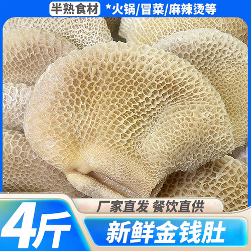 牛肚新鲜金钱肚4斤蜂窝肚商用非全熟牛大肚牛杂火锅食材串串卤菜