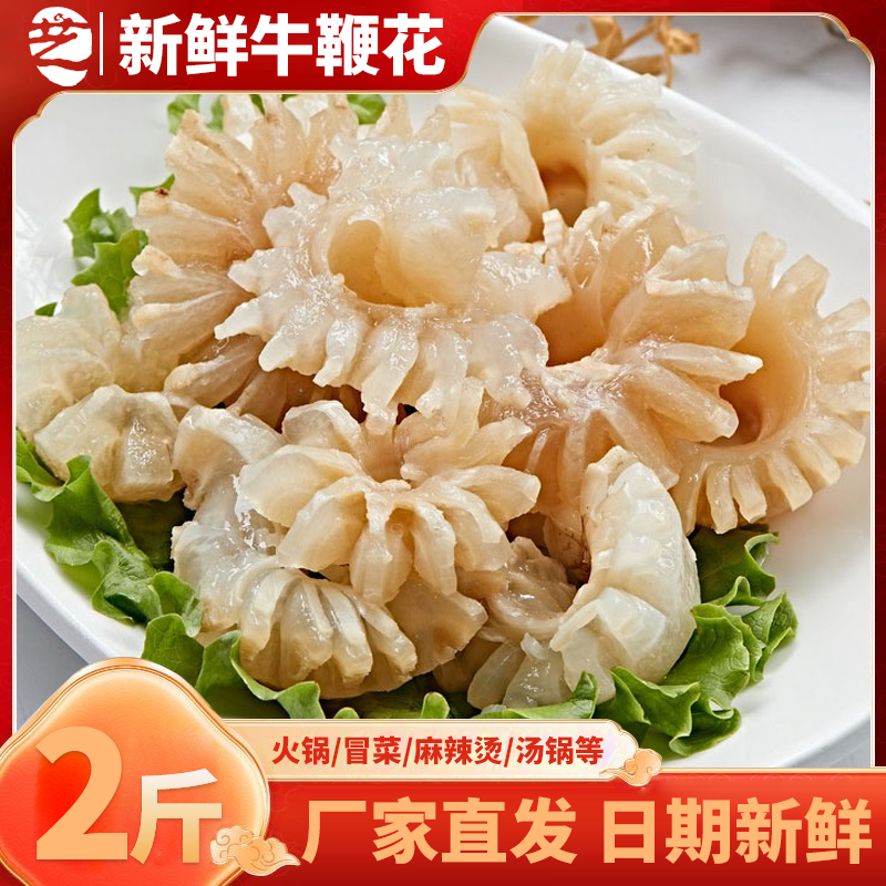 牛鞭花冷冻免处理牛边花牛鞭新鲜火锅牛杂商用火锅食材半成品