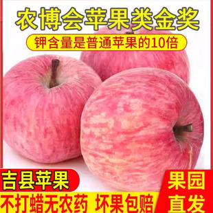 山西吉县苹果新鲜当季壶口苹果产地自家果园直发脆甜高山红富士