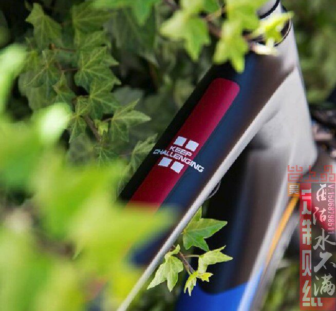 阿佩辛车队横梁贴纸