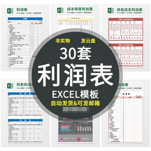 财务利润表会计损益报表表格电子模板带公式自动计算统计excel