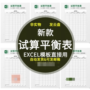 新款试算平衡表财务办公合并报表合并附注模板excel模板