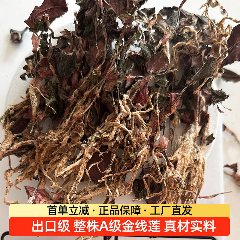 【出口级！！】福建正宗金线莲养生茶 养肝护肝养生茶