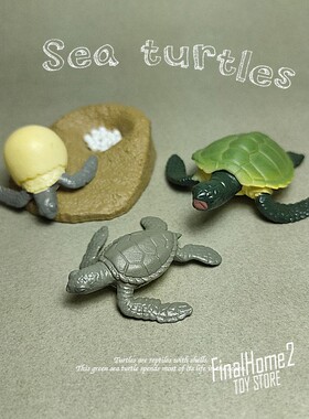 出口海龟龟蛋孵化成长周期海底生物科教摆件模型海洋动物玩具公仔