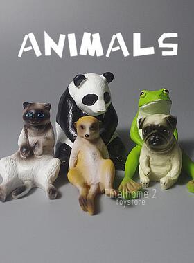 日单 瞌睡动物园 熊猫 狐猴 巴哥 暹罗猫 手办摆件公仔玩具模型