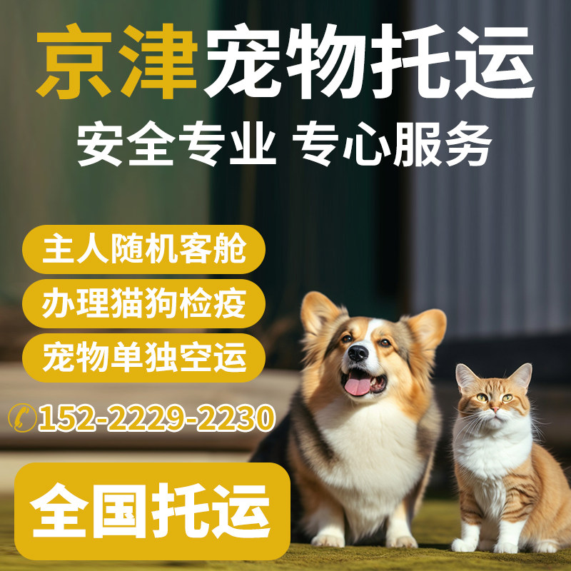 全国宠物托运服务全国天津北京代办检疫证猫狗随机手续客舱空运人使用感如何?