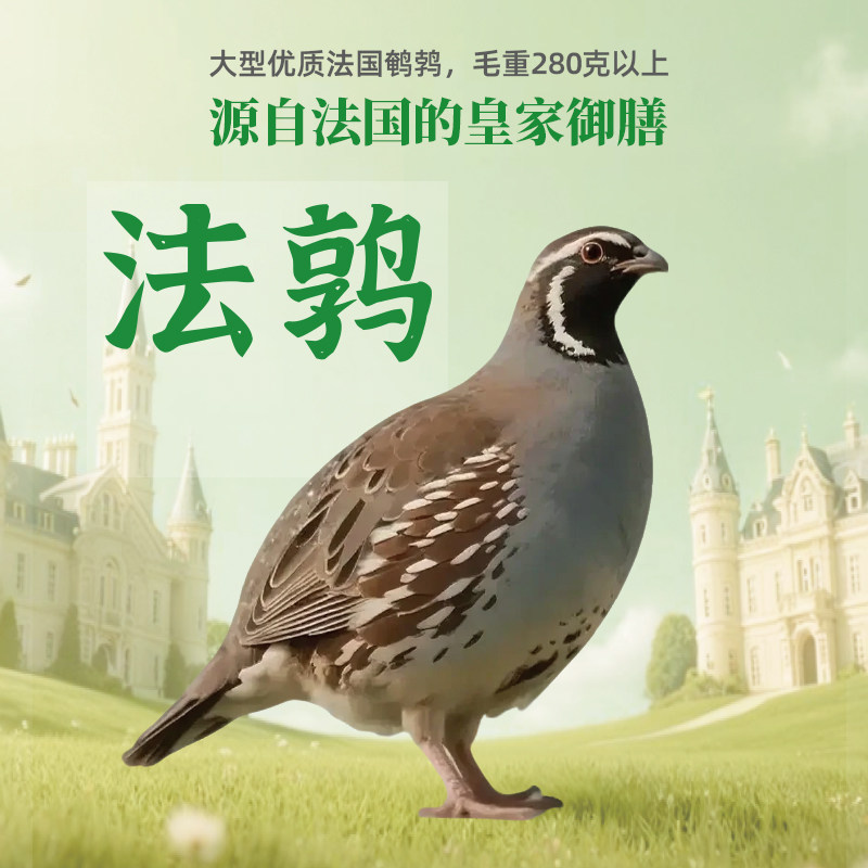 【神丹自营】法鹑胆固醇低烧烤空气炸锅炖汤原料脂肪低生肉膻味低