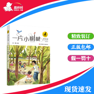 漂流屋王一梅儿童文学精品系列三四五六年级小学生课外书籍读物 15岁长篇纪实小说畅销书 一片小树林正版 书籍 晨晔网