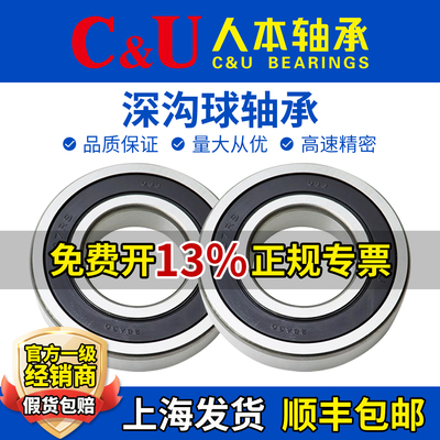 人本轴承6216TD高端6217高速6218 6219 6220 6221 6222 6224 2RZ