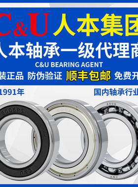 人本轴承6000高速6001电机6002大全6003 6004 6005 6006 6007 2RZ