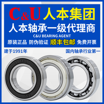 人本轴承6000高速6001电机6002大全6003 6004 6005 6006 6007 2RZ