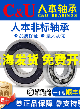 人本非标轴承62/22 62/28 63/22 63/28 60/22 TM62/32 60/28-2RSA