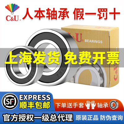 正品人本高速轴承6300 6301 6302 6303 6304 6305 6306 6307 6308