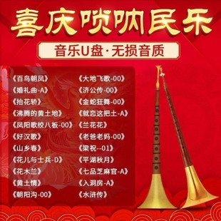 唢呐U盘百鸟朝凤/抬花桥/好汉歌婚庆红喜事纯音乐音频MP3喜庆优盘