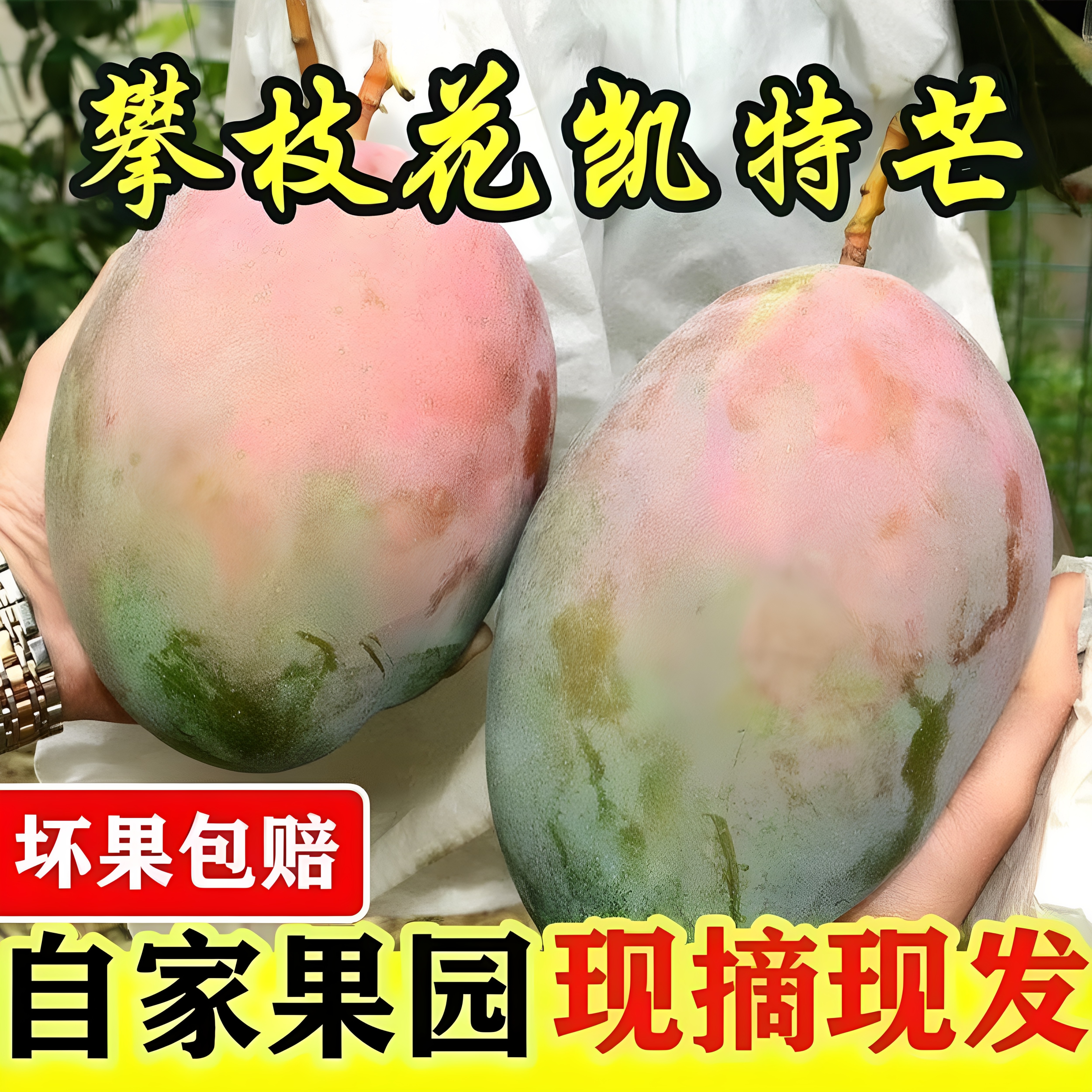 正宗花皮芒果新鲜水果当季现摘现发