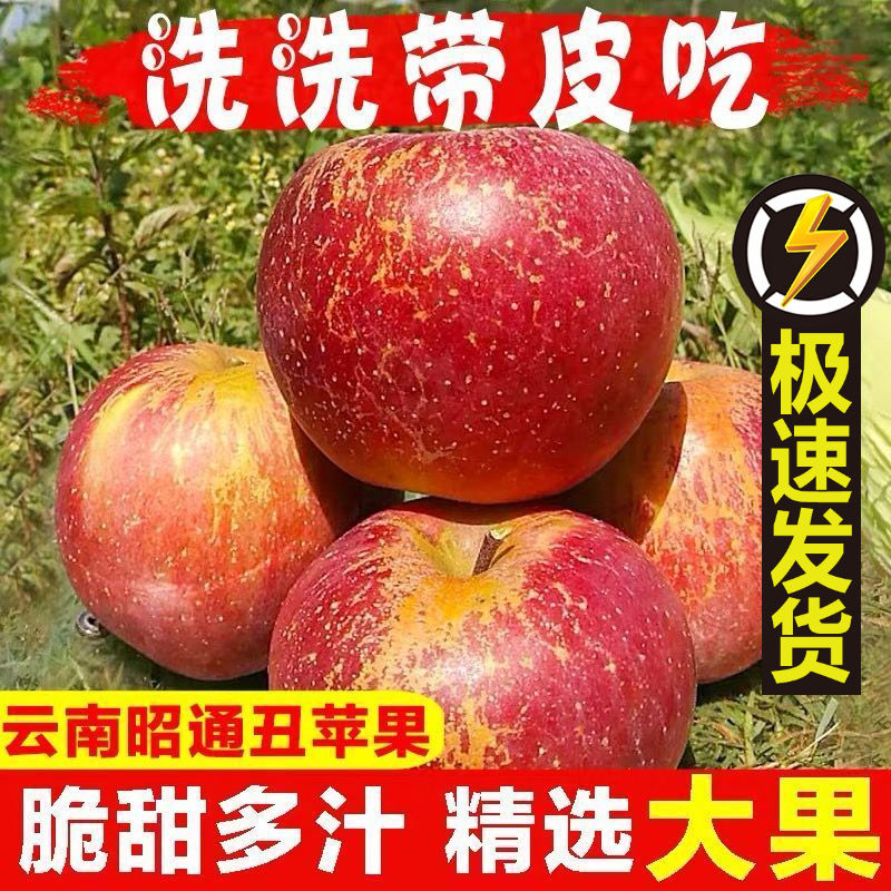 云南四川正宗丑苹果冰糖心苹果现摘现发新鲜水果当季苹果整箱包邮