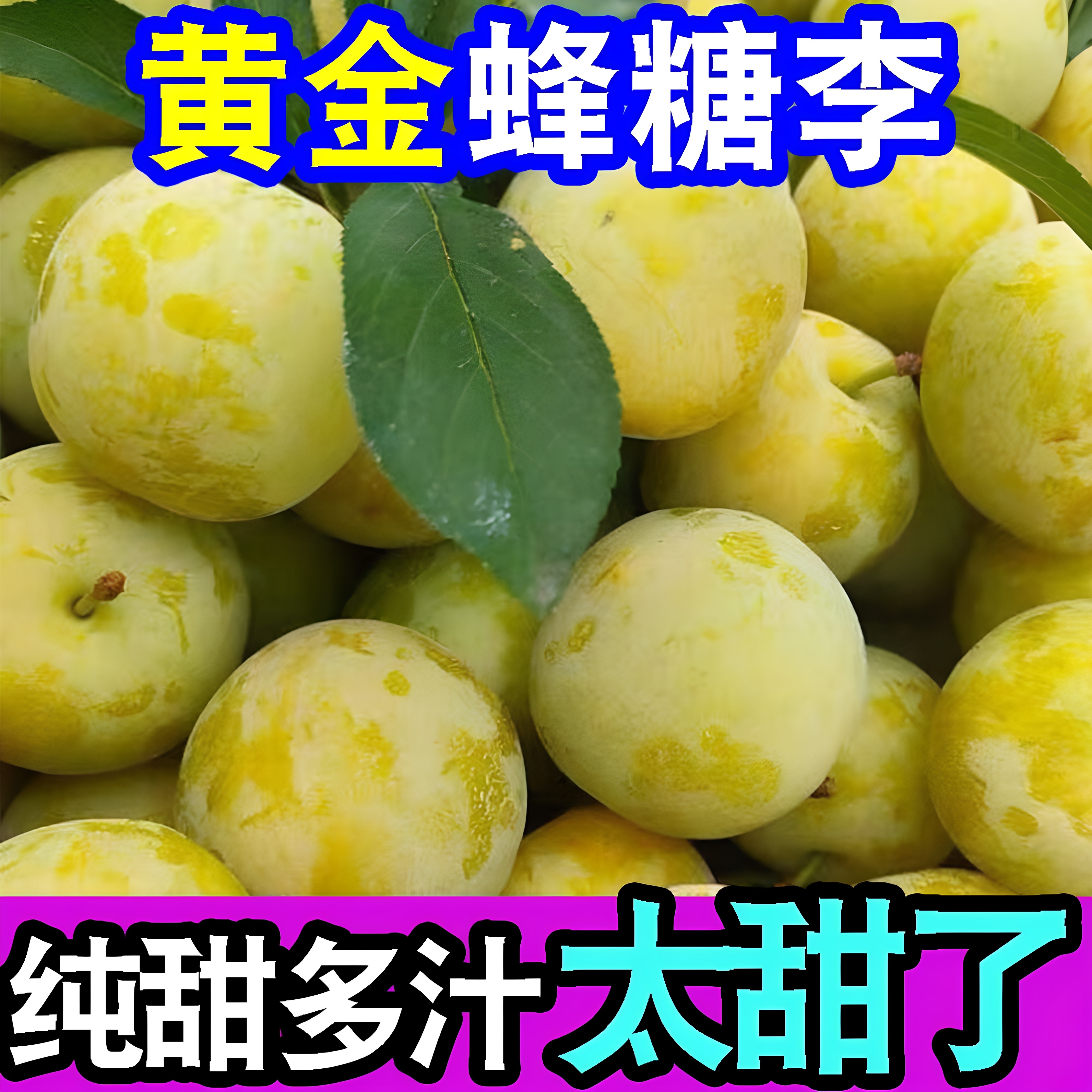 高原花斑蜂糖李子包甜新鲜现摘当季应季李子脆甜脱骨多汁孕妇水果