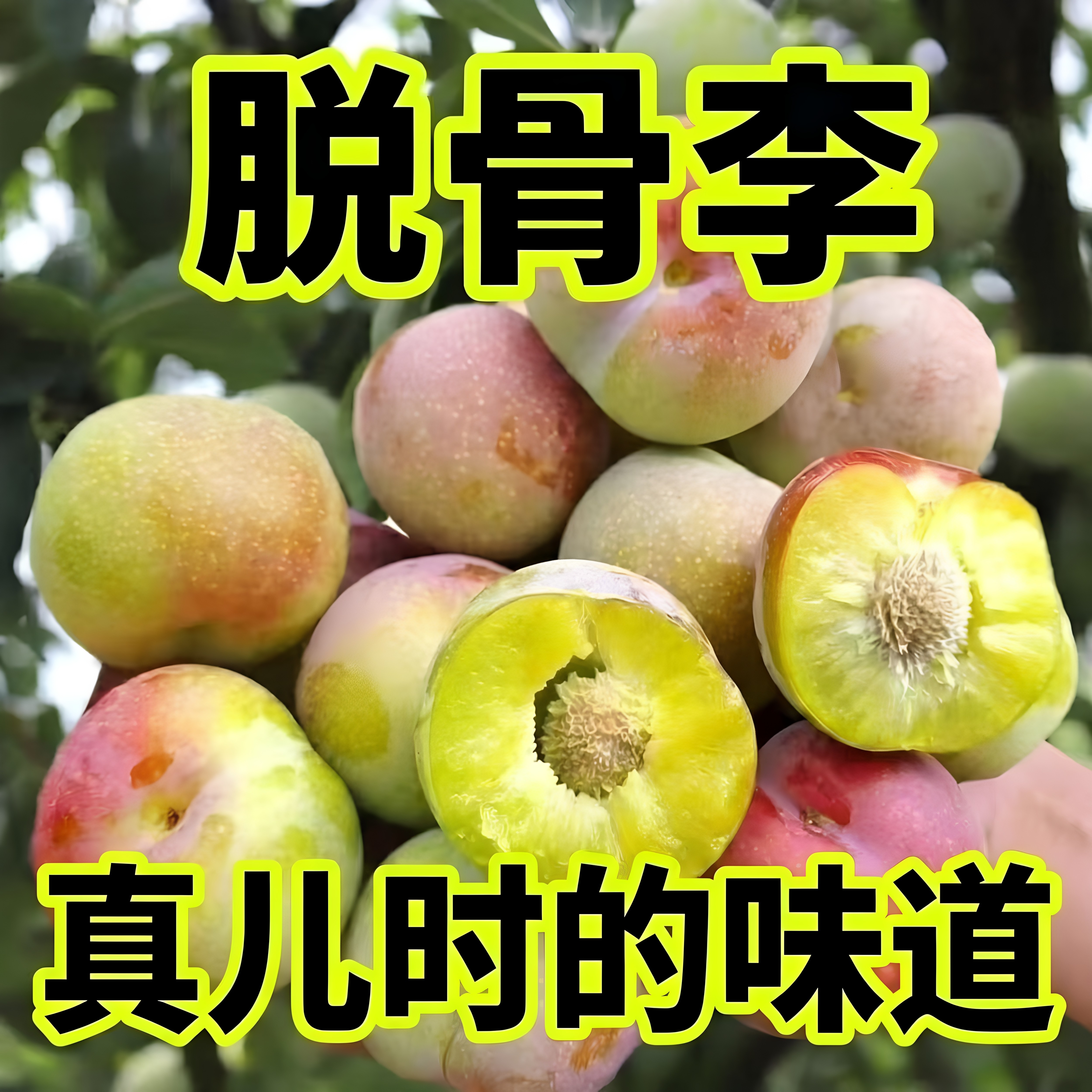 四川正宗脱骨李子脆红李半边红李青红脆李本地李孕妇新鲜水果