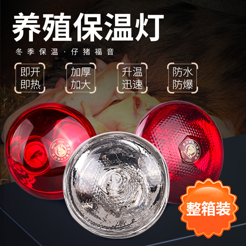 猪博士芦丁鸡保温灯养殖场专用