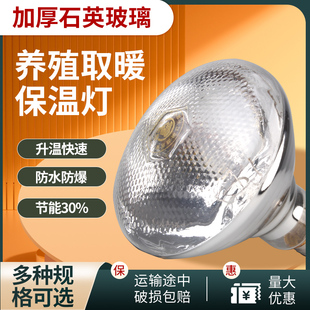 猪博士保温灯养殖场专用保暖灯仔猪小猪加温烤灯育雏加热取暖灯泡