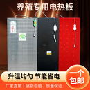 仔猪不锈钢电热板猪保温板兽用加热板小猪橡胶电热毯养猪取暖设备