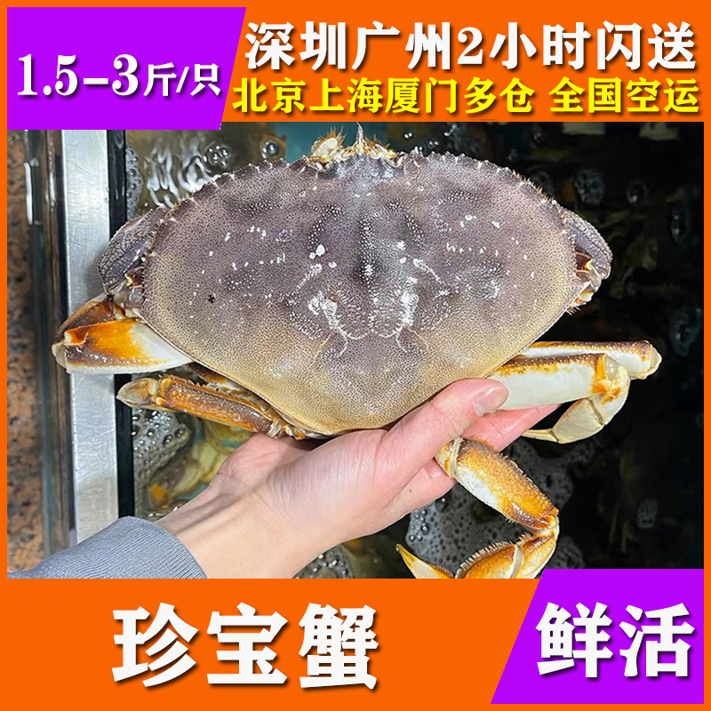 鲜活珍宝蟹太子蟹活体松叶长脚面包帝王皇帝蜘蛛梭子蟹公蟹
