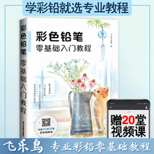 赠教学视频 彩铅画入门教程书临摹本色铅笔 温情手绘飞乐鸟彩铅漫画绘画入门教材自学零基础书书籍正版 彩色铅笔零基础入门教程