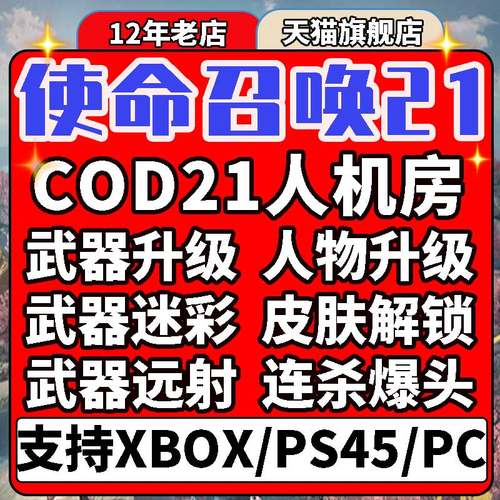 使命召唤COD21人机房武器人物等级武器迷彩枪暗物质星云迷彩