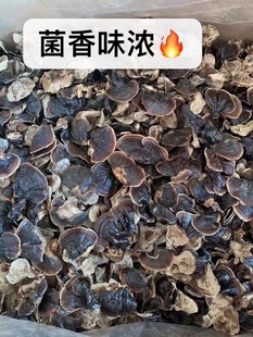 包邮 吉林长白山特产半野生小灵芝林下金边灵芝 不苦菌香味浓香芝赤