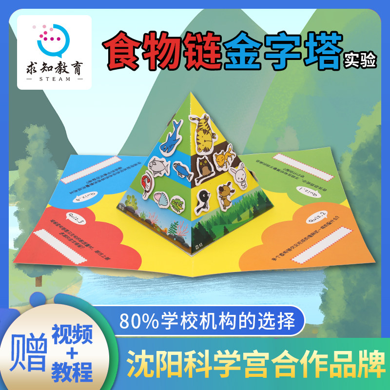 求知教育儿童动物拼图食物链金字塔实验玩具小学生手工diy材料包