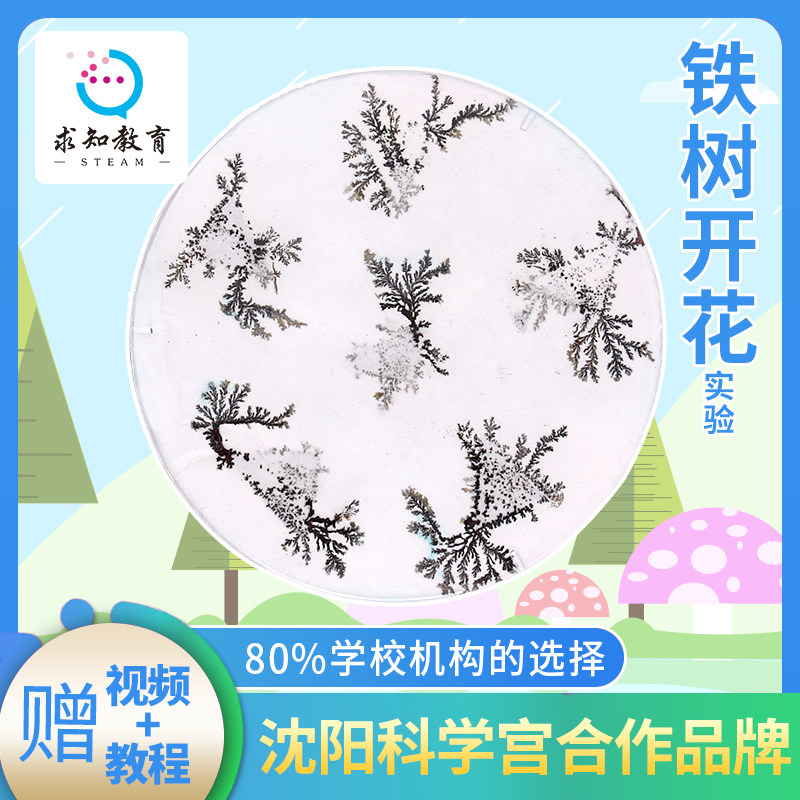 铁树开花儿童科学小实验小学生趣味stem益智玩具手工制作材料器材