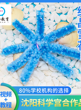求知教育冰雪奇缘魔法结晶雪花实验化学科学实验玩具自制DIY手工