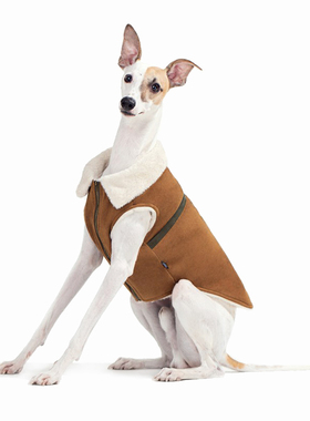 Sniff宠物狗狗猫咪秋冬装棕色麂皮绒夹克泰迪比熊法斗中大小型犬