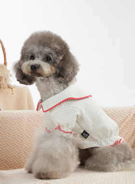 Sniff宠物狗狗猫咪秋冬装娃娃领绵柔上衣泰迪比熊中小型犬衣服