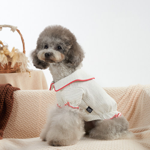 Sniff宠物狗狗猫咪秋冬装娃娃领绵柔上衣泰迪比熊中小型犬衣服
